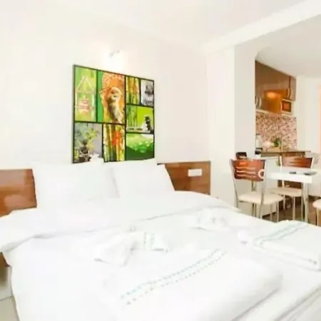 Apartmanhotel Sultanahmet Center View 4*